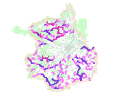 overview