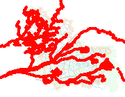 overview